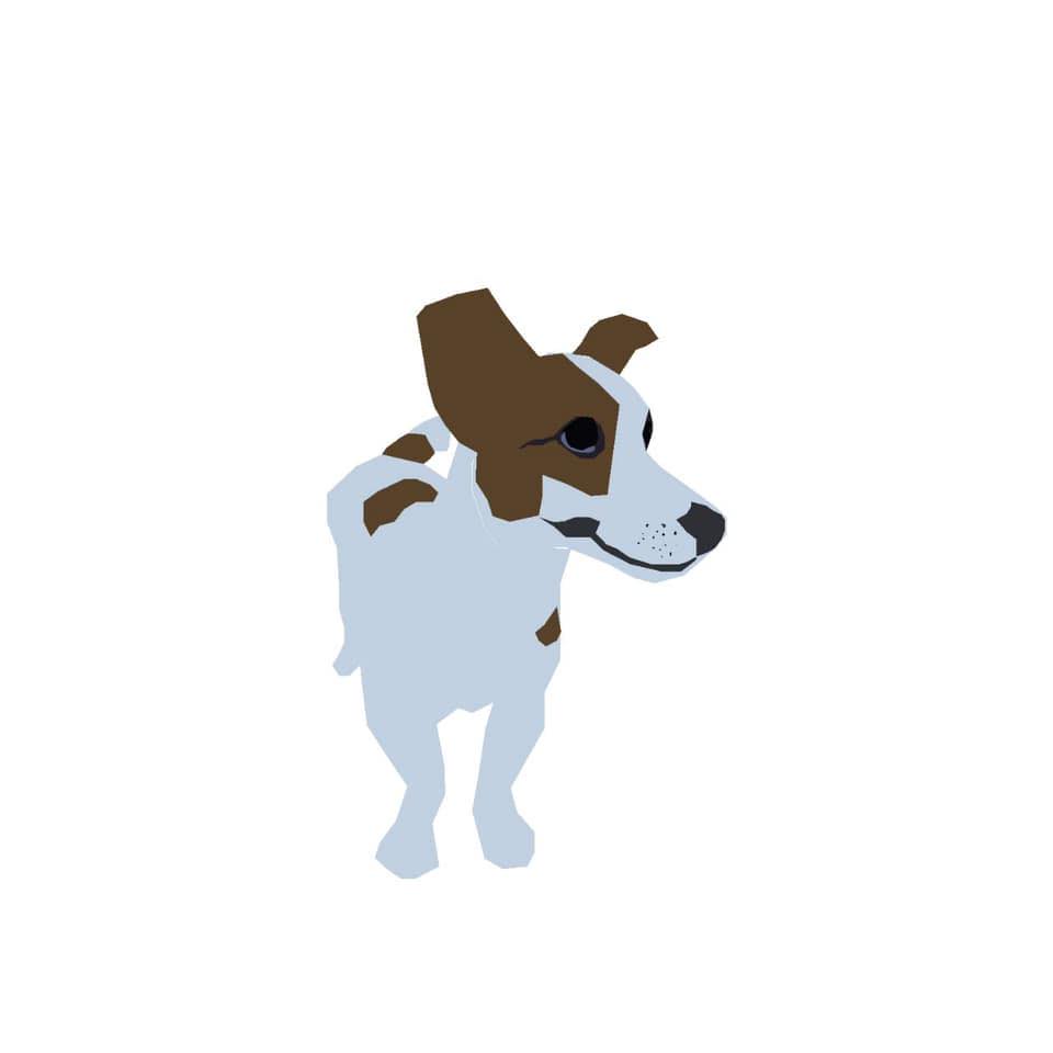 黑傑克•傑克羅素梗犬舍 | Changhua
