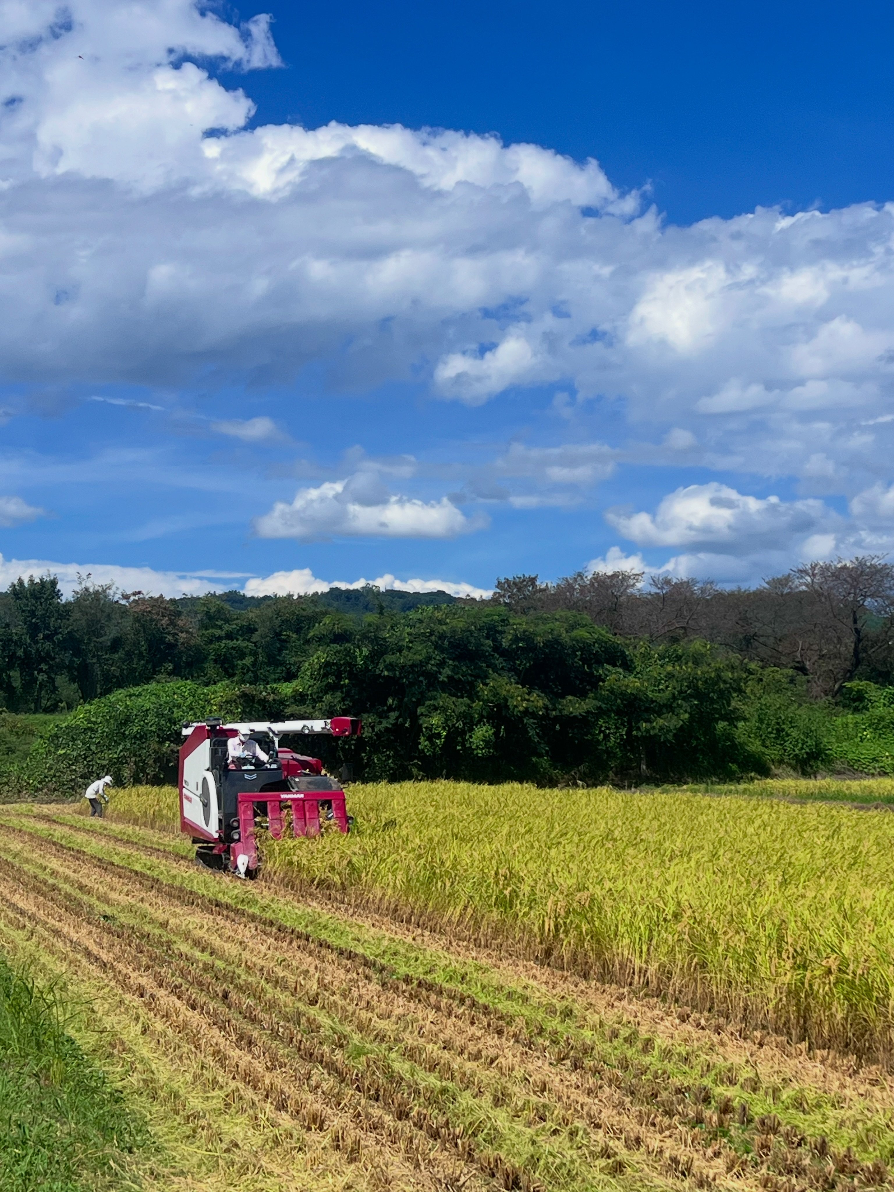 青空に覆われた安曇野 常念岳をはじめ、北アルプスの山並みがきれいに