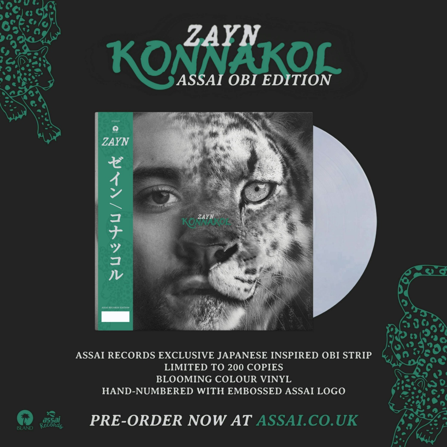 🦁 ZAYN ASSAI OBI EDITION! 🦁 Out 17/04 Assai Records Exclusive