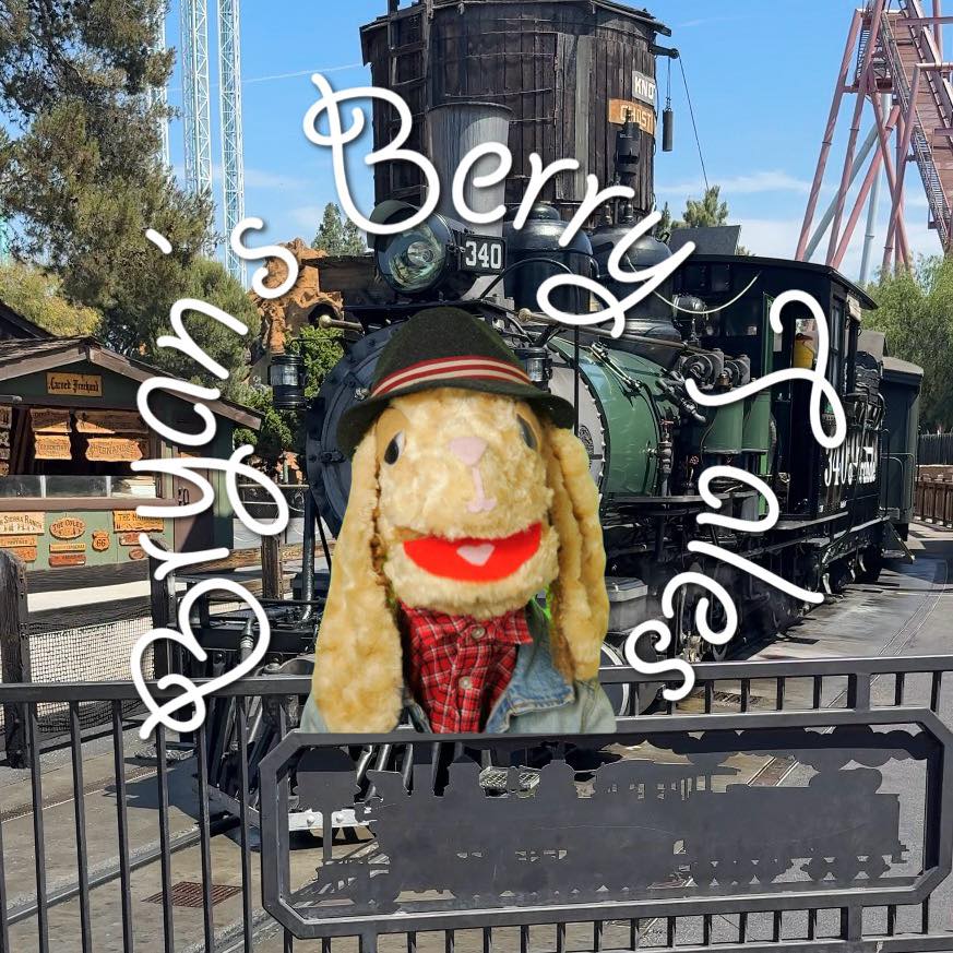 Simon T. Bunny’s Museum Tales; the octopus at the California science ...