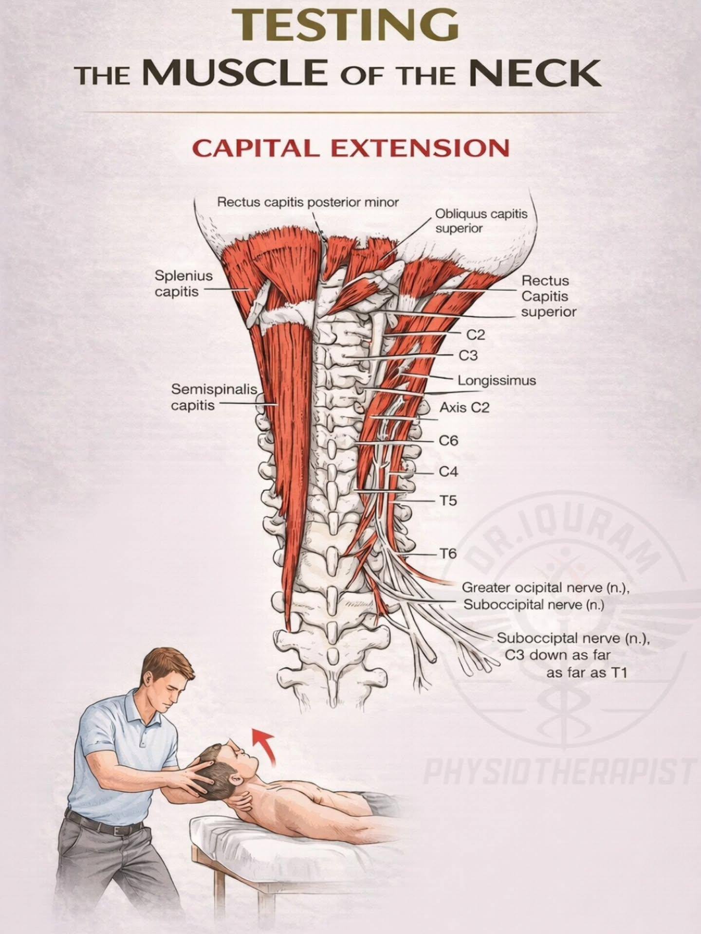 Manual muscle testing of the... - Physiotherapist Mahfuj Alam | Facebook