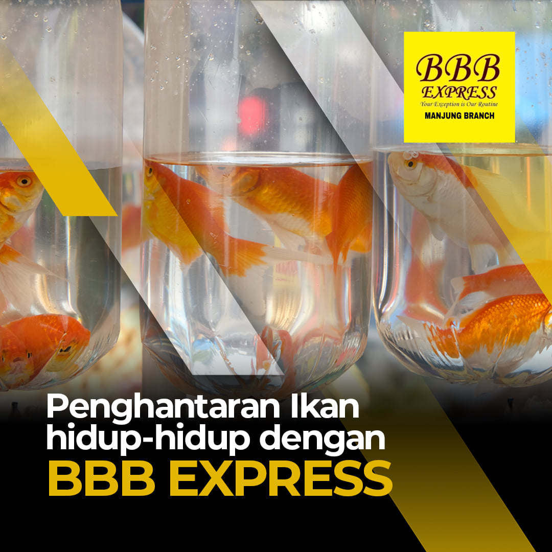 Bbb Express Manjung Home Facebook