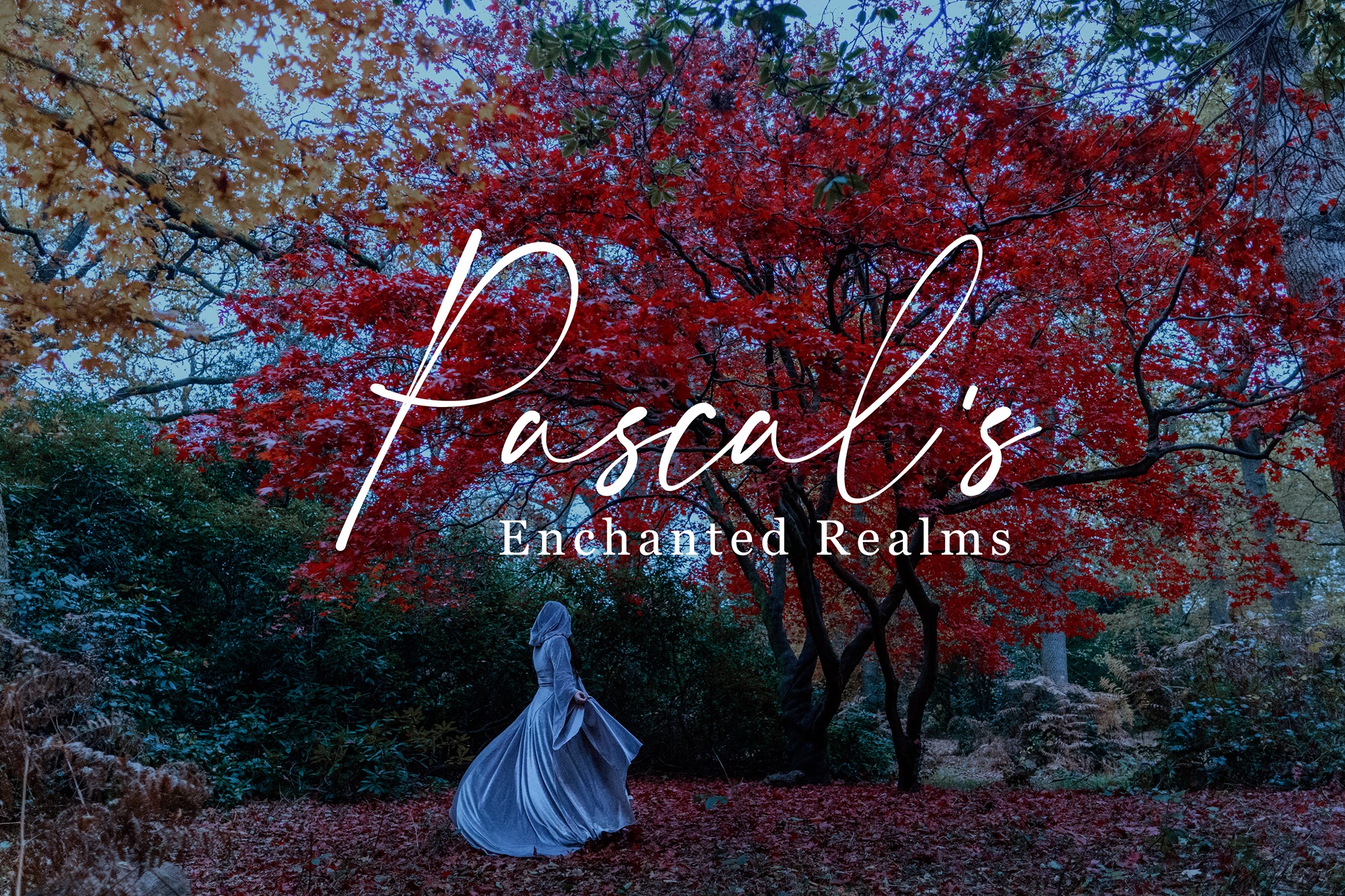 Pascal's Enchanted Realms
