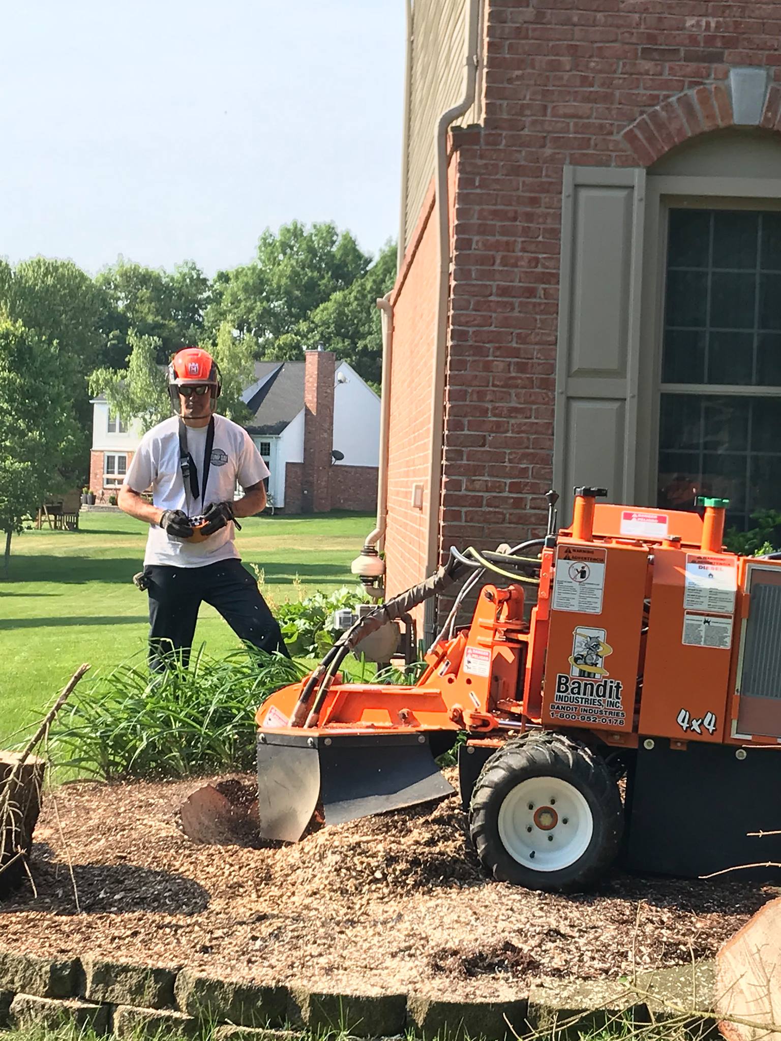Stump Day Grinding and Removal | White Lake MI