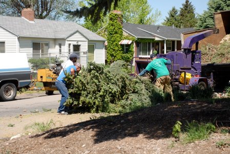 Advanced Tree Service | Salt Lake City UT