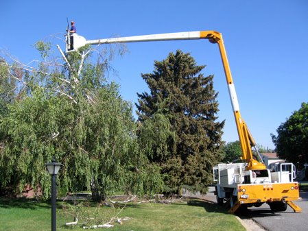 Advanced Tree Service | Salt Lake City UT