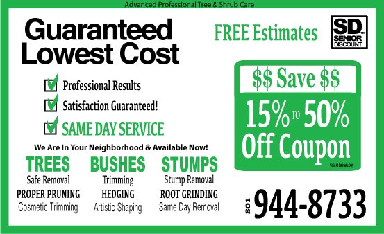 Advanced Tree Service | Salt Lake City UT