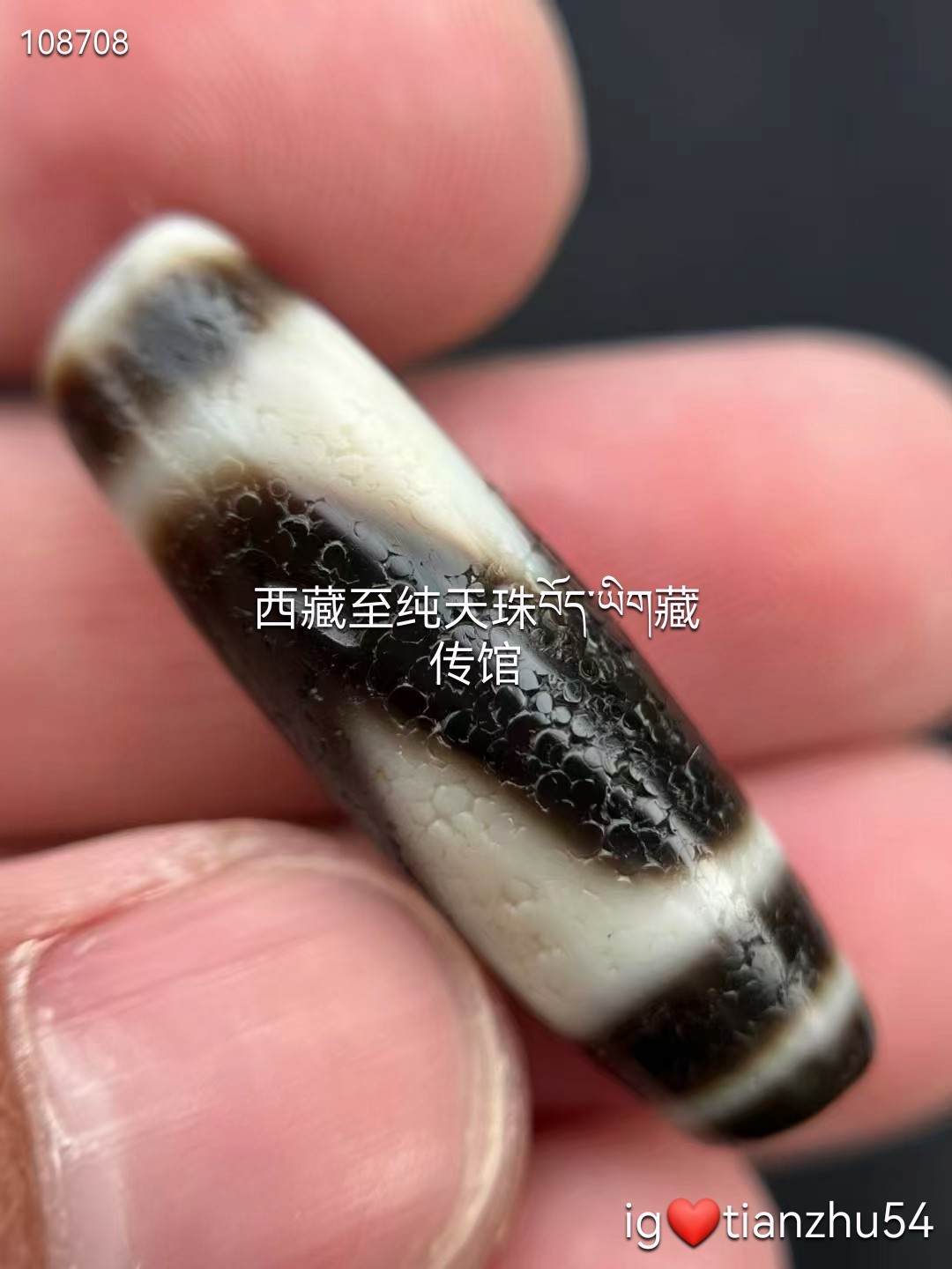 藏传天然红朱砂虎牙天珠很漂亮的朱砂，眼肉可见，可遇不可求尺寸37mm
