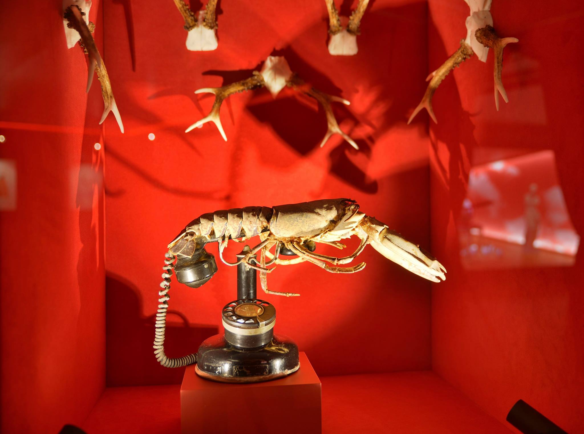 Salvador Dali Oeuvres Les Plus Connues