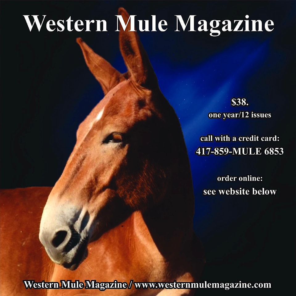 Western Mule Magazine - The More You Know About Them Mules The More You ...