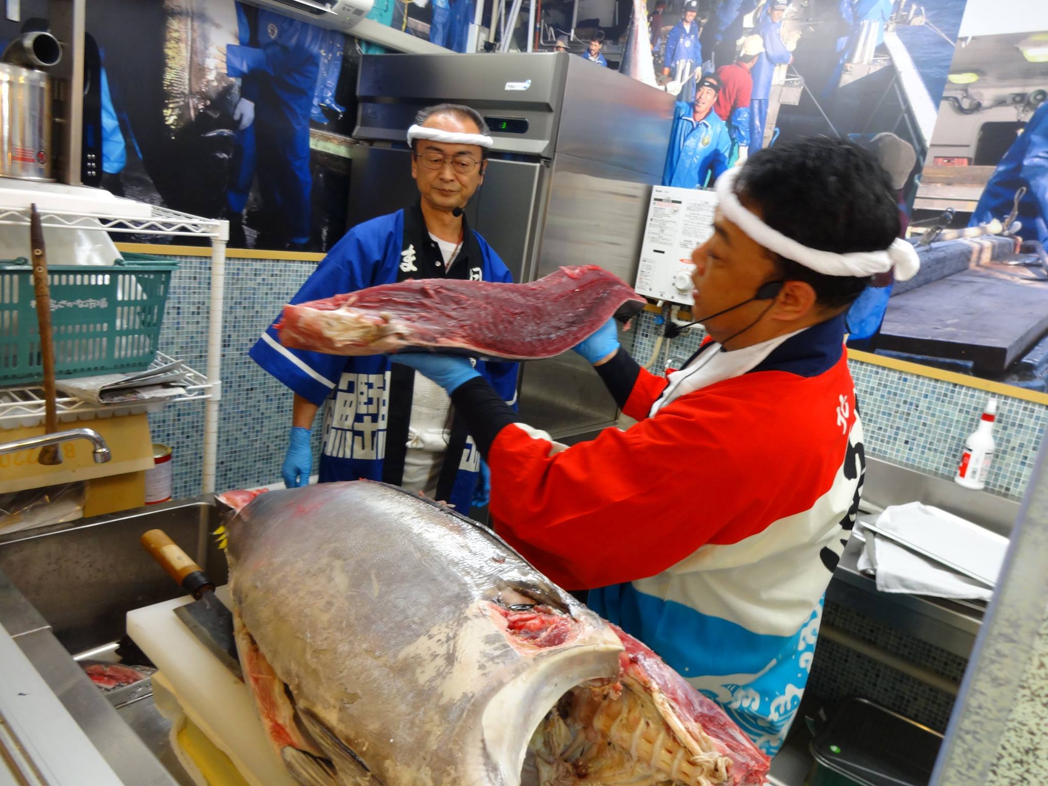 まぐろ解体ショー開催しました！！ 解体致しました、まぐろは試食販売