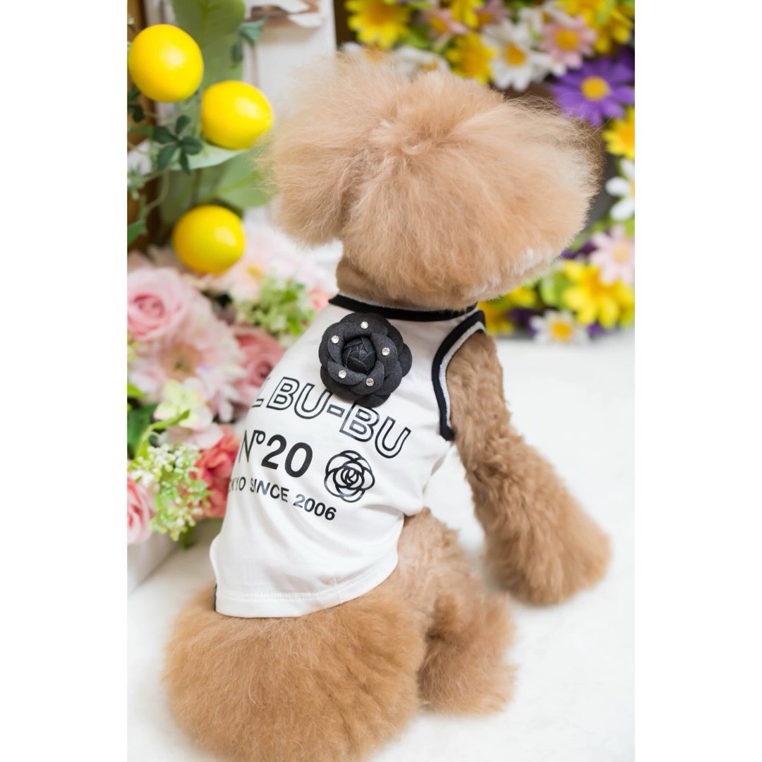 Dog Boutique BUL BU-BU (@bulbubu) • Facebook