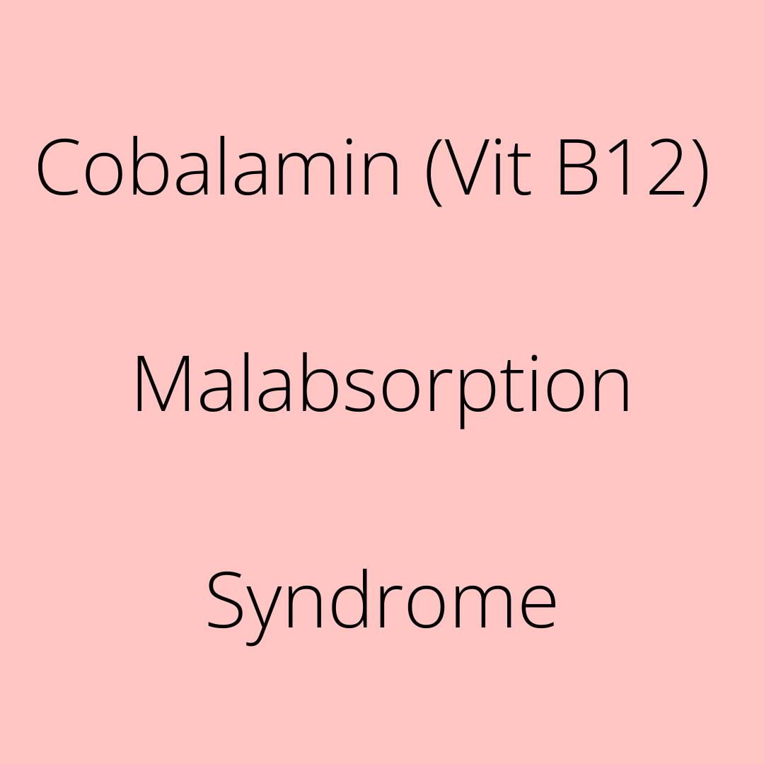 Can B12 supplements cause skin sores in dogs with normal B12 levels?
