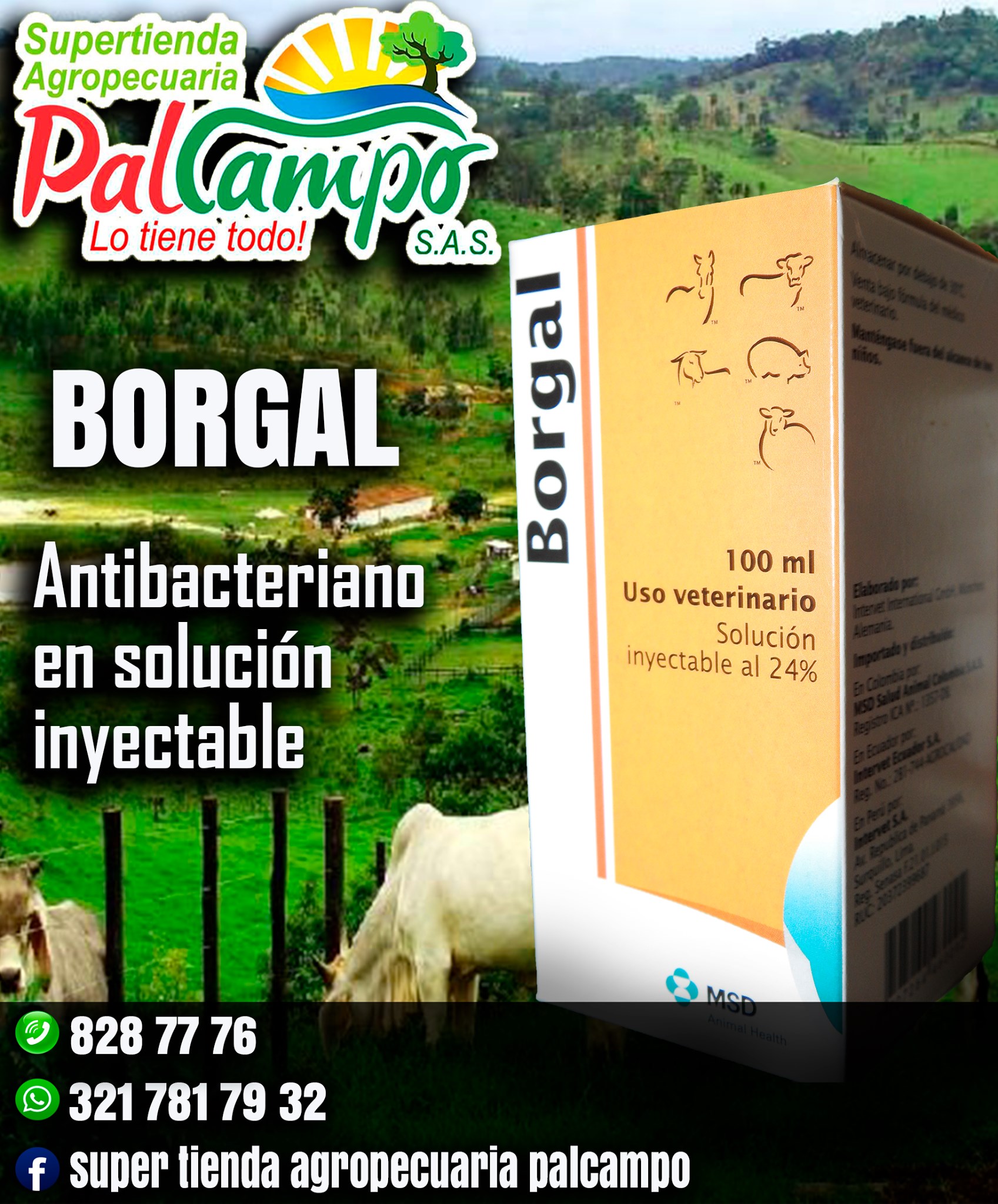 Nodos Creativos - BORGAL: Indicado para tratar infecciones...