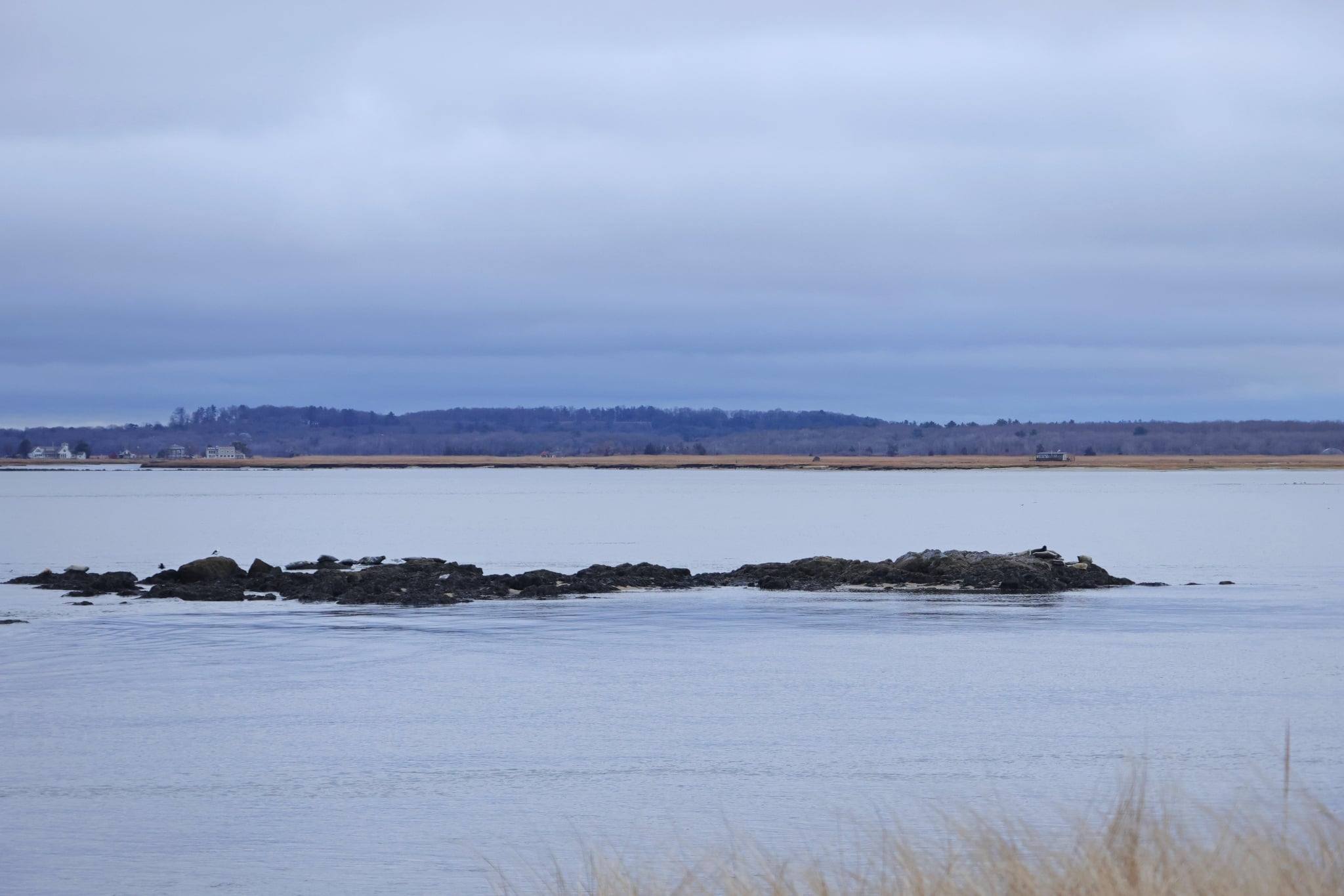 Plum - Badgers Rocks ~ easily visible from the shore of the Merrimack ...