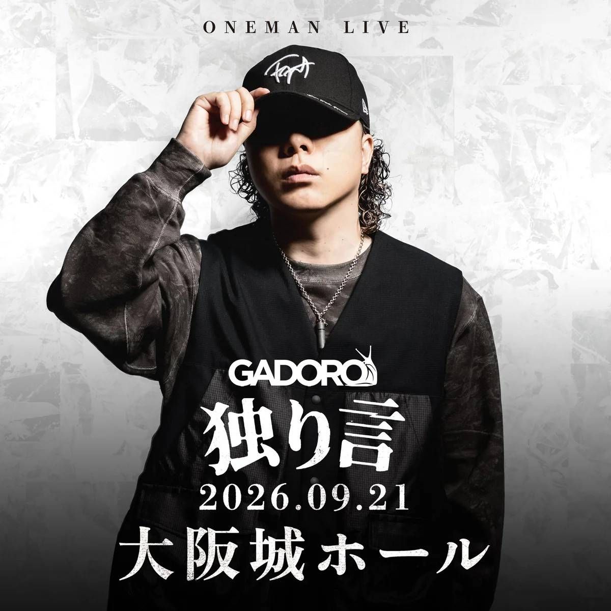 敏之 - 「GADORO！」 「四畳半から武道館！」 「横浜ｱﾘｰﾅ！一家団欒 