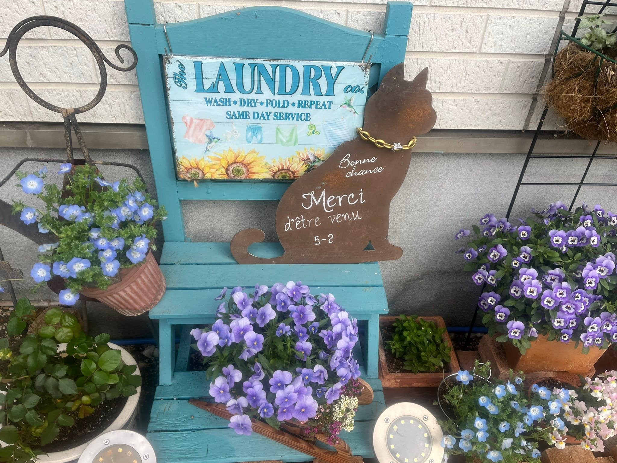 こんにちは?一年で1番楽しい季節になりましたね♪ 我が家のお花達です