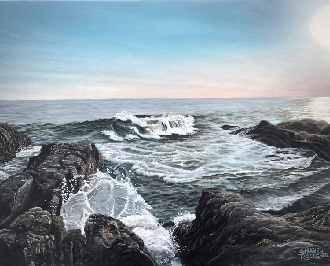 Shane Roche Fine Artist