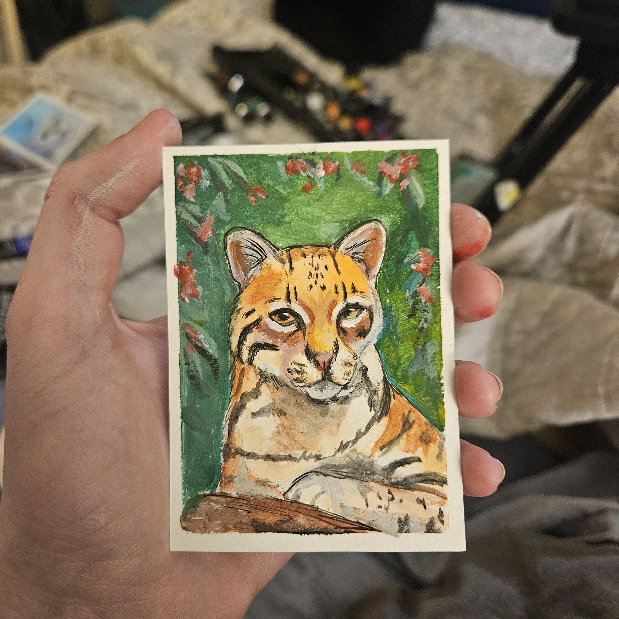 Ocelot Pride is with it's new owner - a little packaging art.