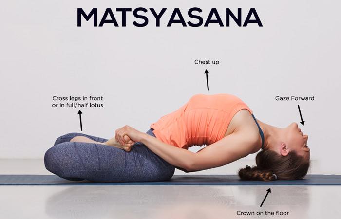 MATSYASANA... - Ayurdhama Ayurveda and Yoga Retreat Center | Facebook