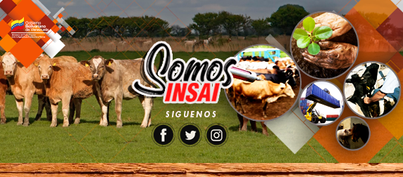 Instituto Nacional de Salud Agricola Integral. INSAI | Maracay