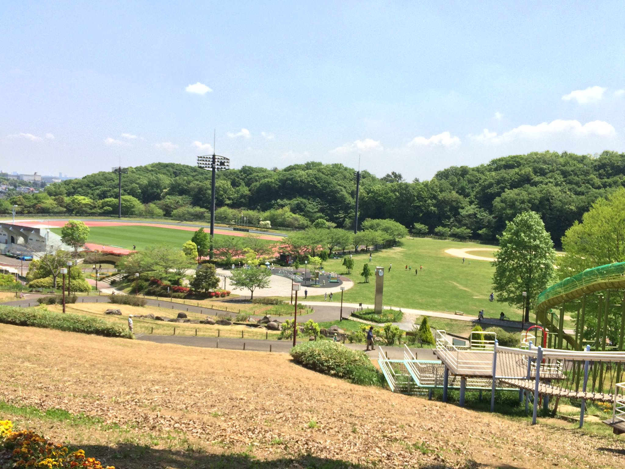 厚木 市 荻野 運動 公園