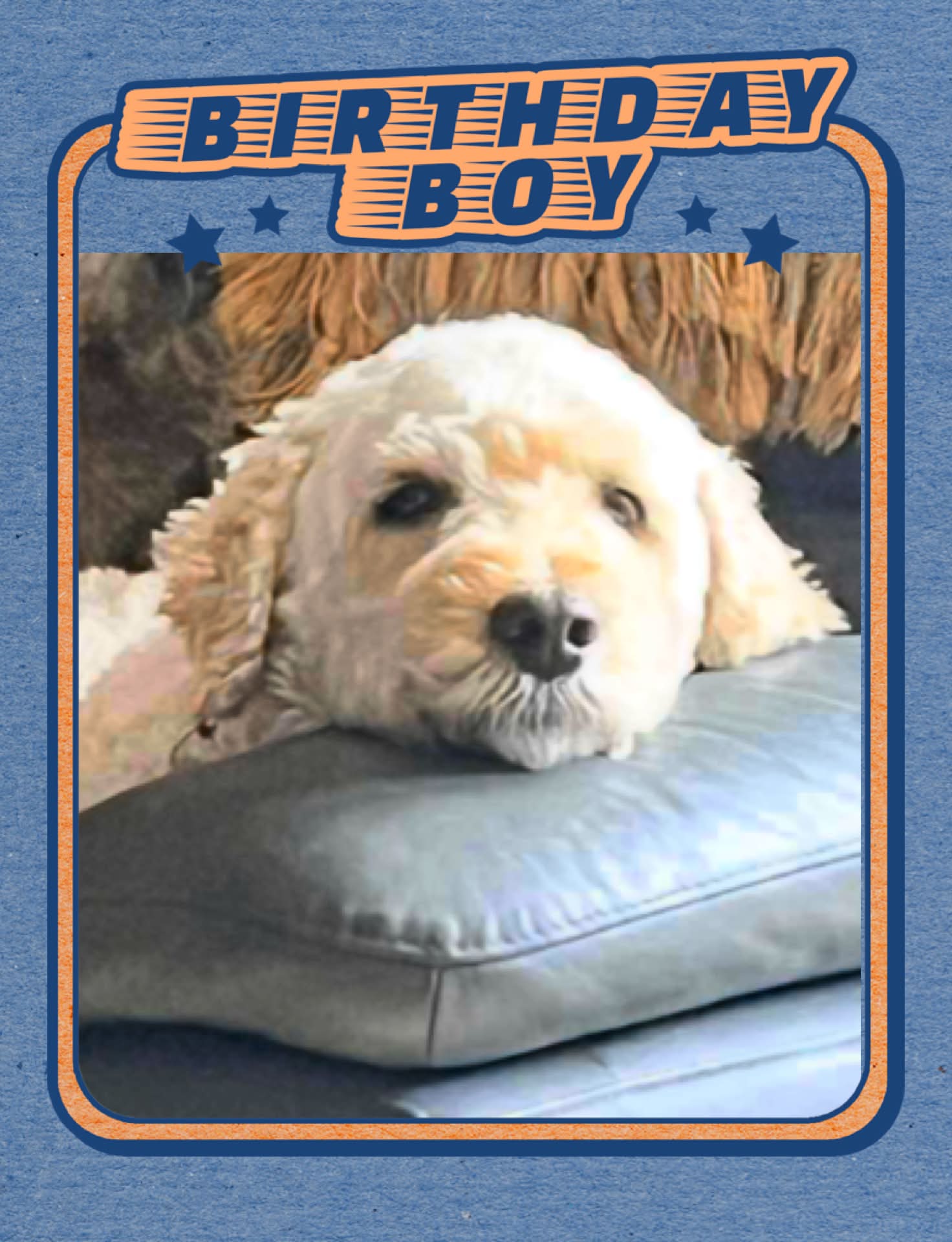 Tedi is 10! Happy birthday handsome, we'll see you very soon 🎈
