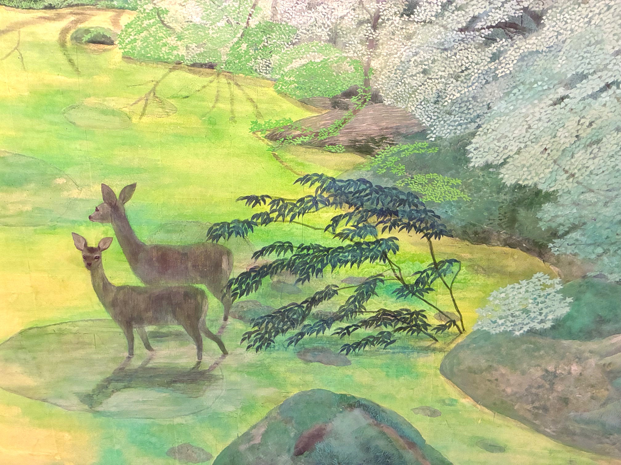 花と獣展 作家紹介 ◤⑬ 猪熊佳子 ◢ 猪熊佳子さんは、自ら森に分け