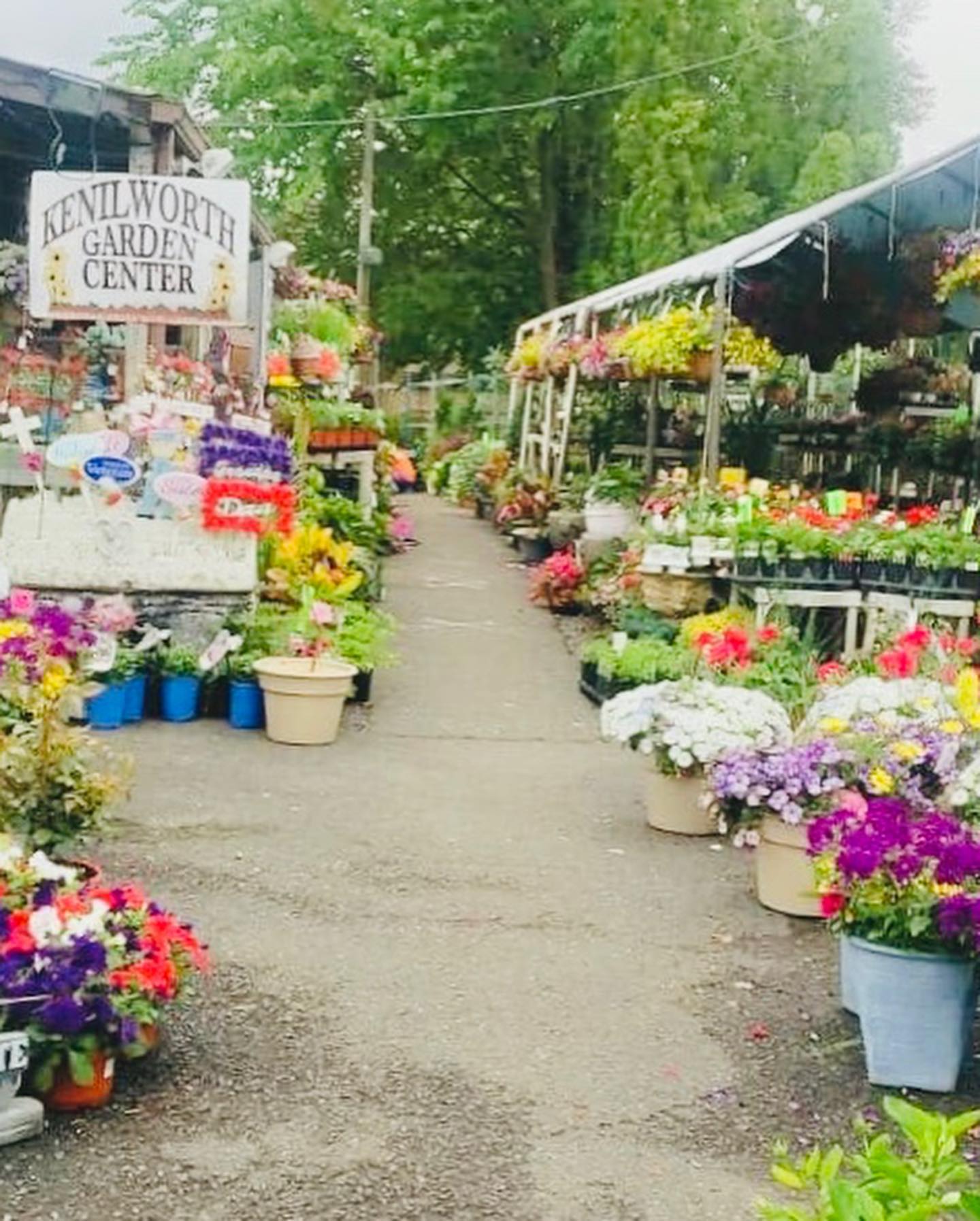 Kenilworth Garden Center Home Facebook