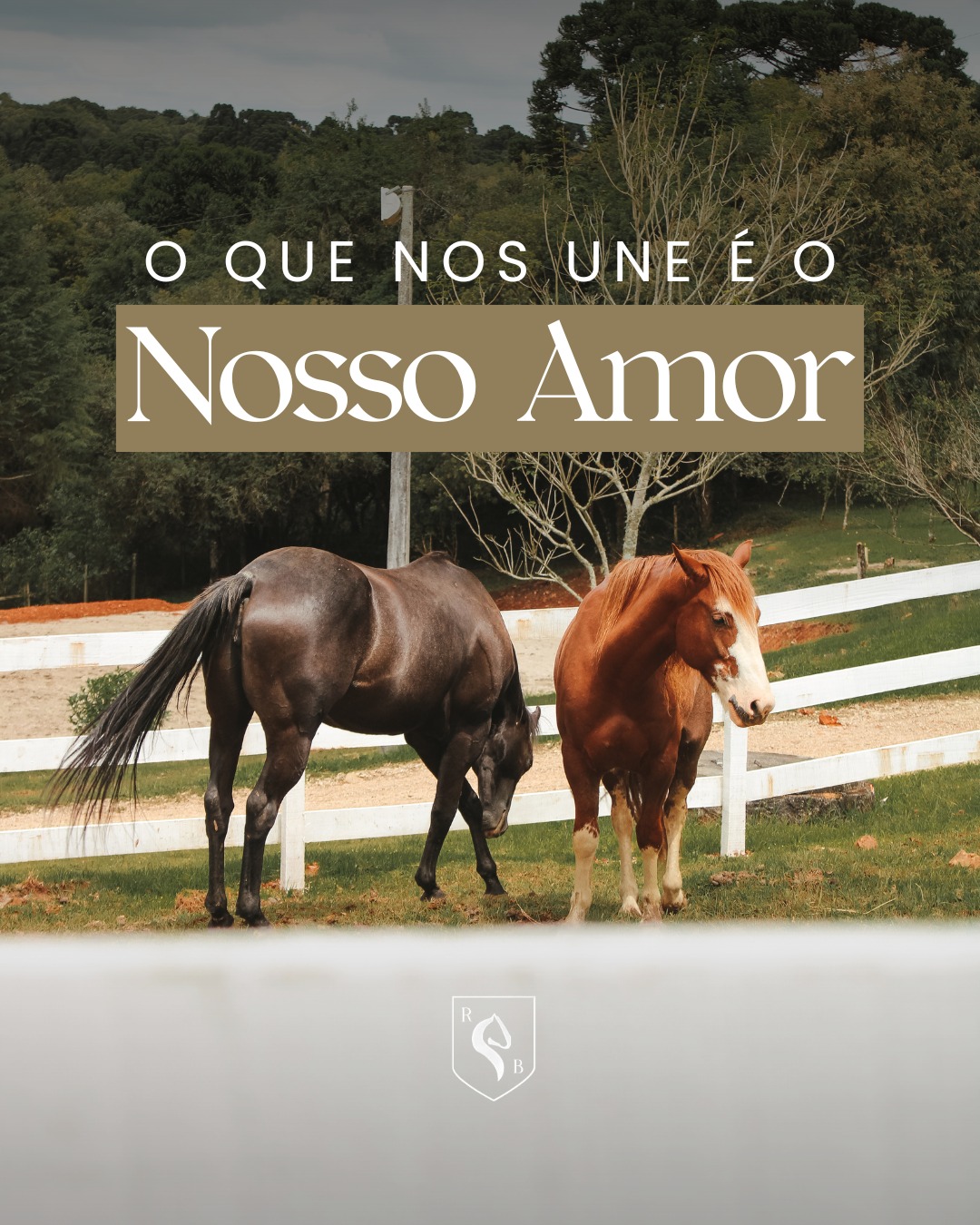 Rancho Boonsmal - Aqui no Rancho Boonsmal todos são...