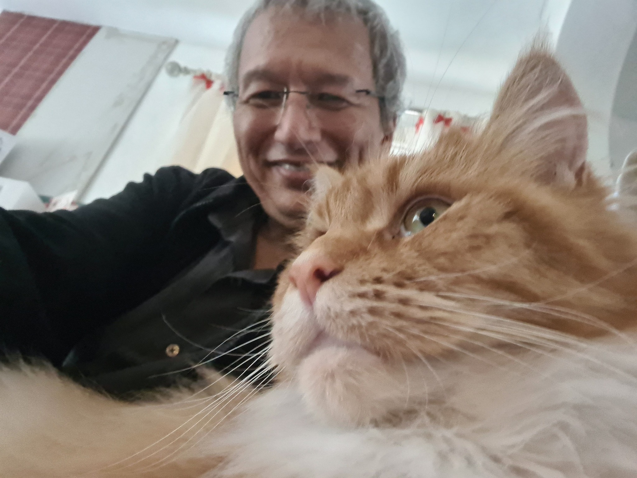 George Cat