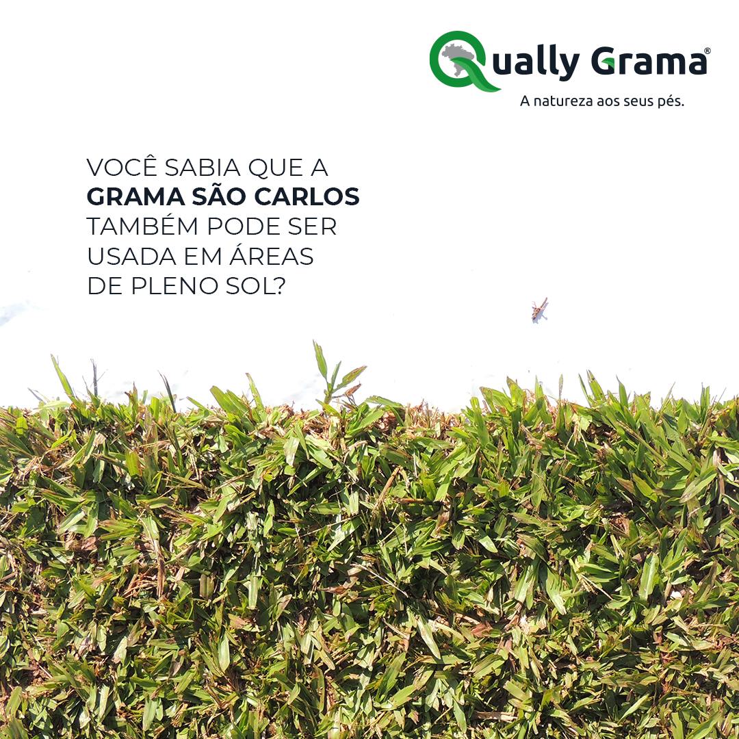 Qually Grama - Pois é, boa parte das pessoas acreditam que...