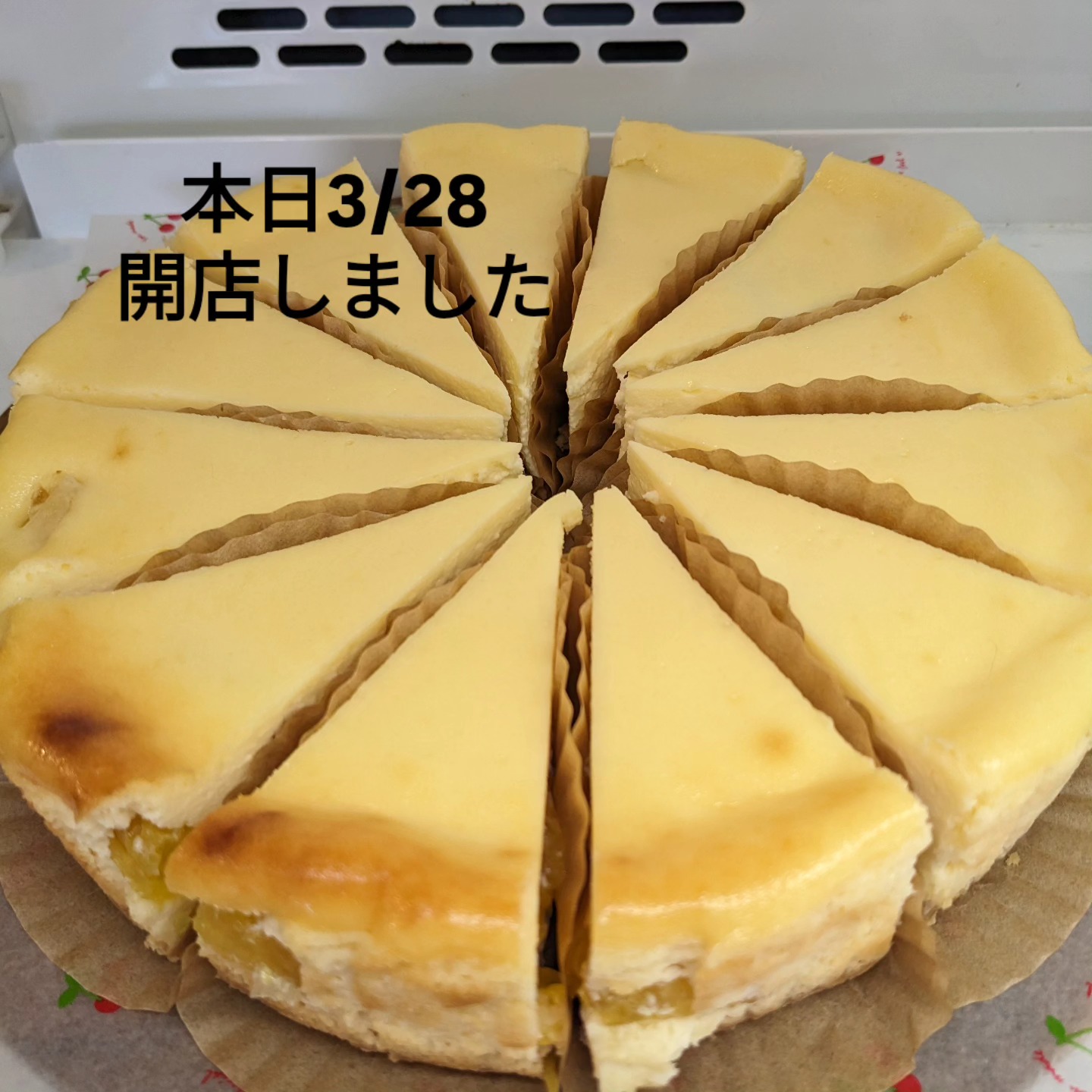 neko no hige cake studio