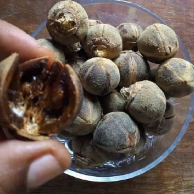 Sekuru - DID YOU KNOW 💡📚... Matohwe know as snot apple in english have ...