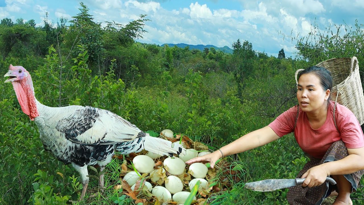 woman Catch Ducks cookeggs - woman Eat delicious eggs #mother #hunting ...