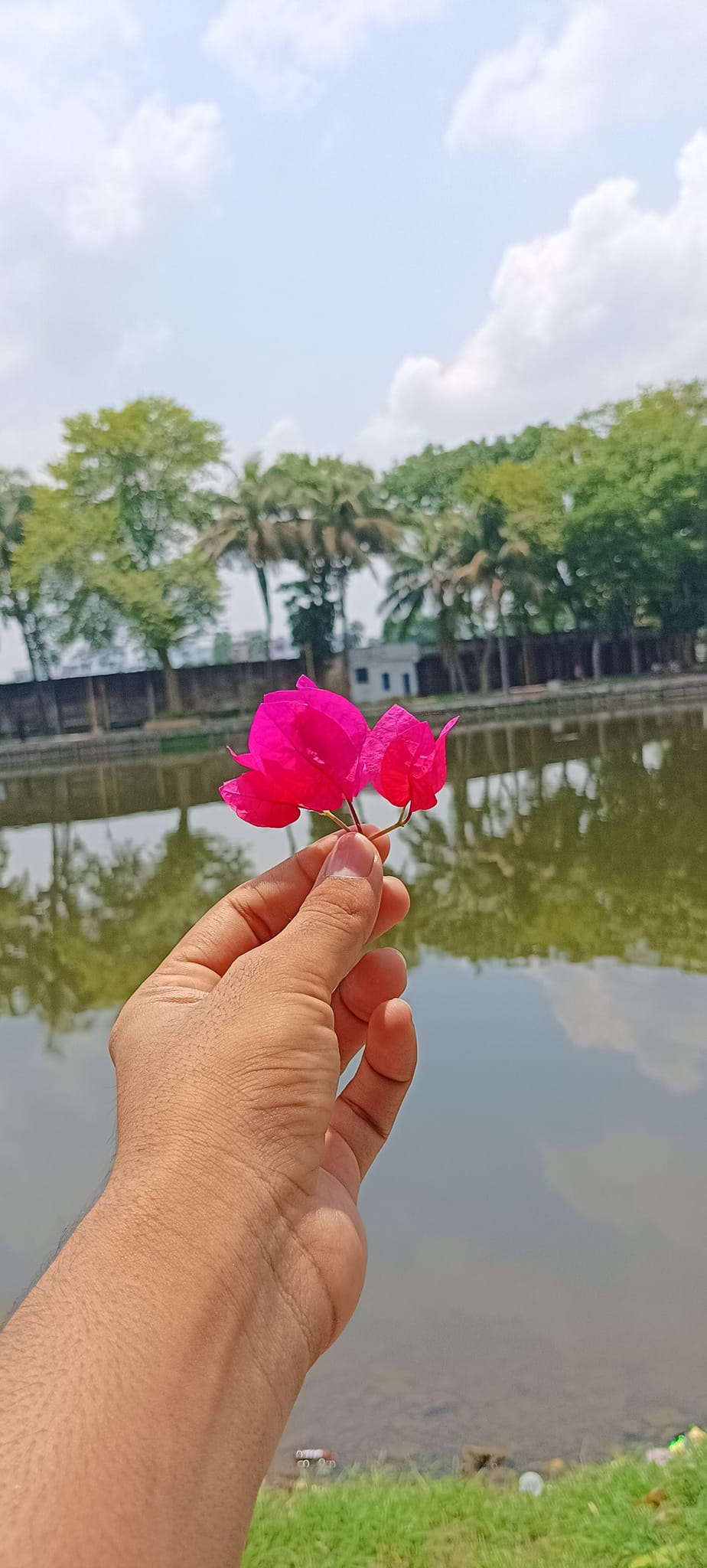 MD. Rezaul