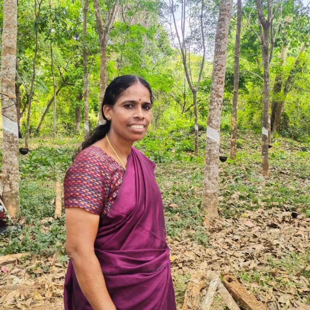 Remani Plasseri Remani