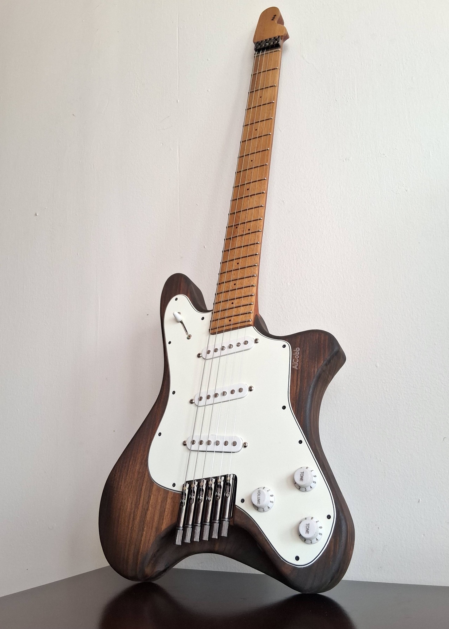 Brian Stanczyk's Swiss Cheese fretted/fretless doubleneck