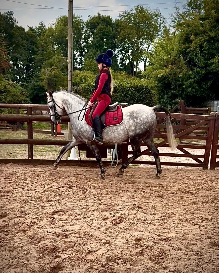 Georgie Pudge Schooling Livery | Hereford