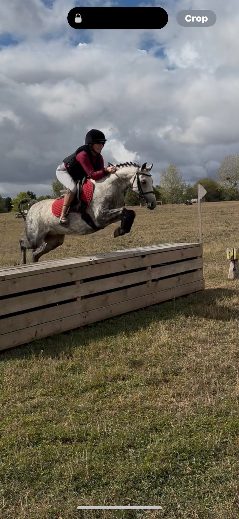 Georgie Pudge Schooling Livery | Hereford