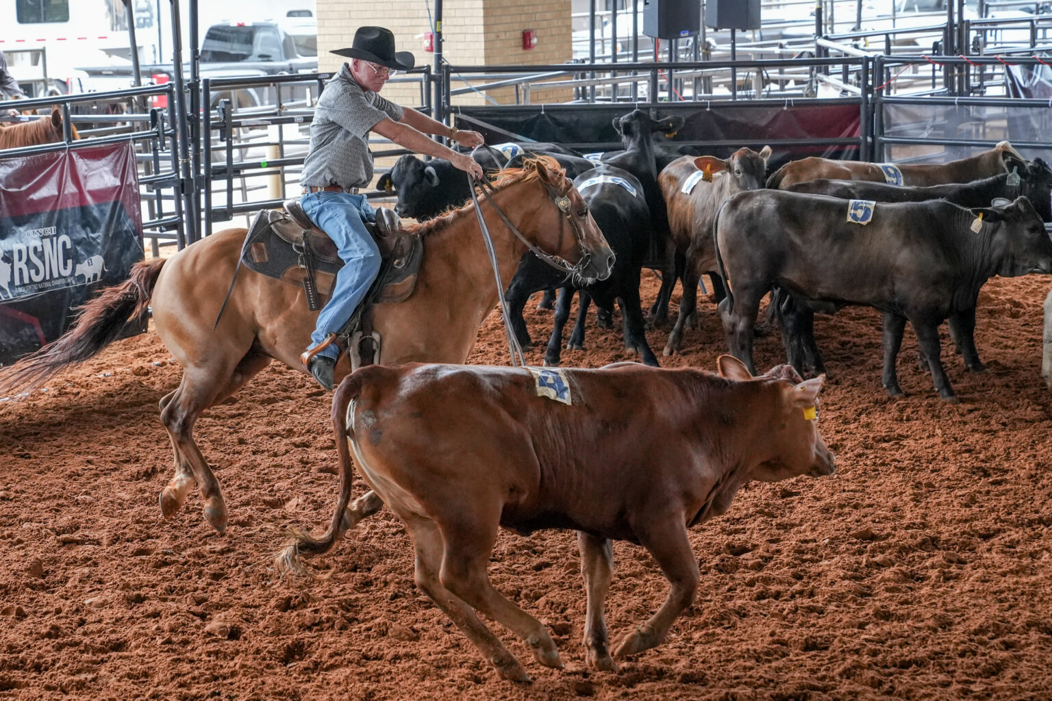 Ranch... - Ranch Sorting National Championships (RSNC)