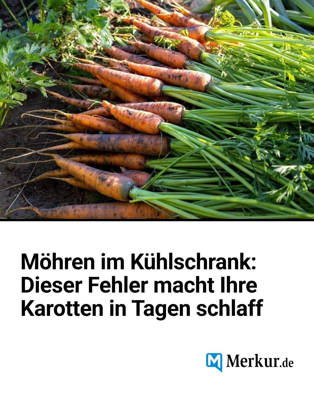 beihilfebescheide aufbewahren Betty Bossi Tuben Aufbewahrungsbox, weiß Aufbewahrung Tuben Organizer spülmaschinengeeignet bis 70 Grad Ordnungshelfer für alle Standardtuben im Kühlschrank und in der Speisekammer Küche, Haushalt & Wohnen Stromrechnung verständlich erklärt bogstaver EXKLUSIVES ANGEBOT:Kaufe 3, erhalte 1 gratis