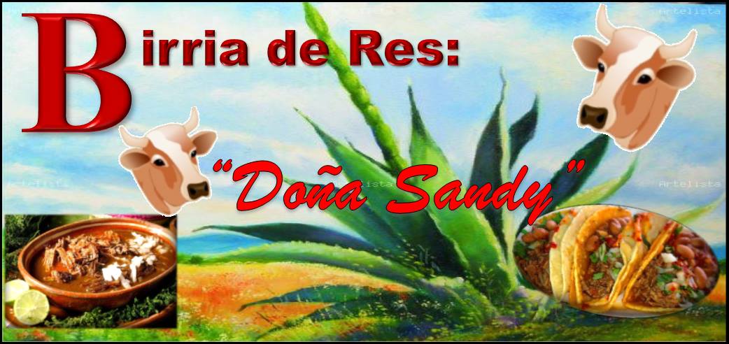 Birria de Res 