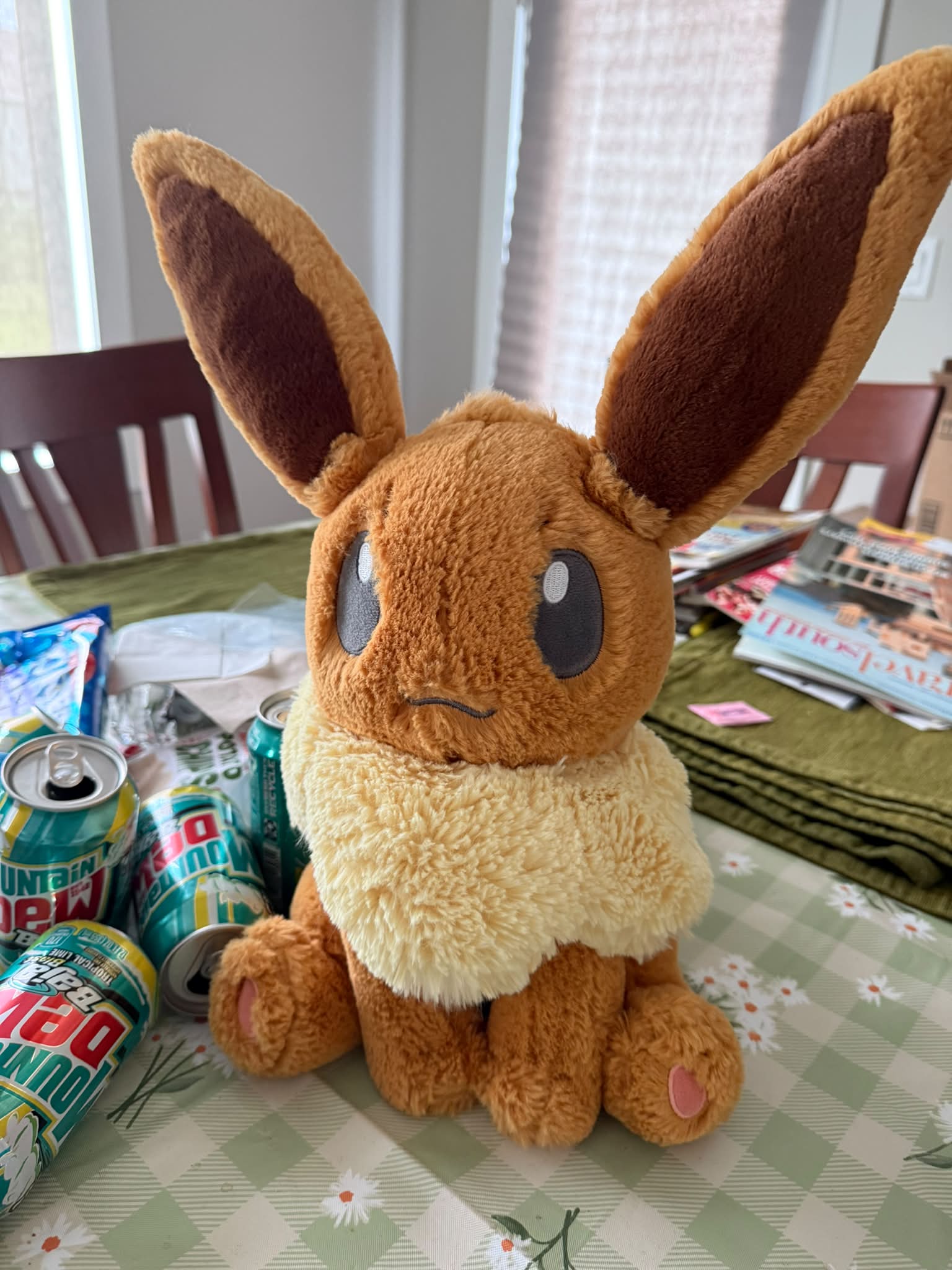 Pokemon Eevee collection cardigan available on Meccha-Japan