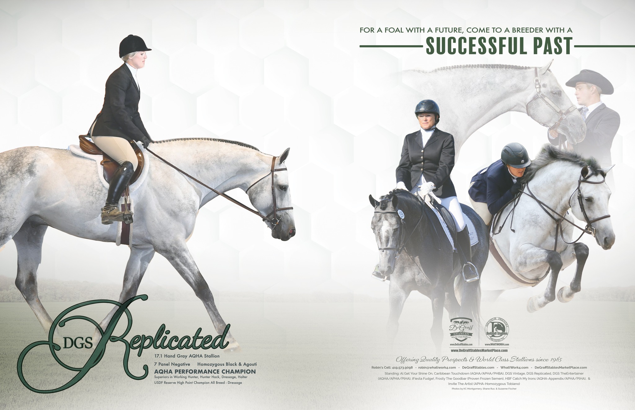 DGS Replicated - AQHA Champion - Congratulations DGS Replicated with ...