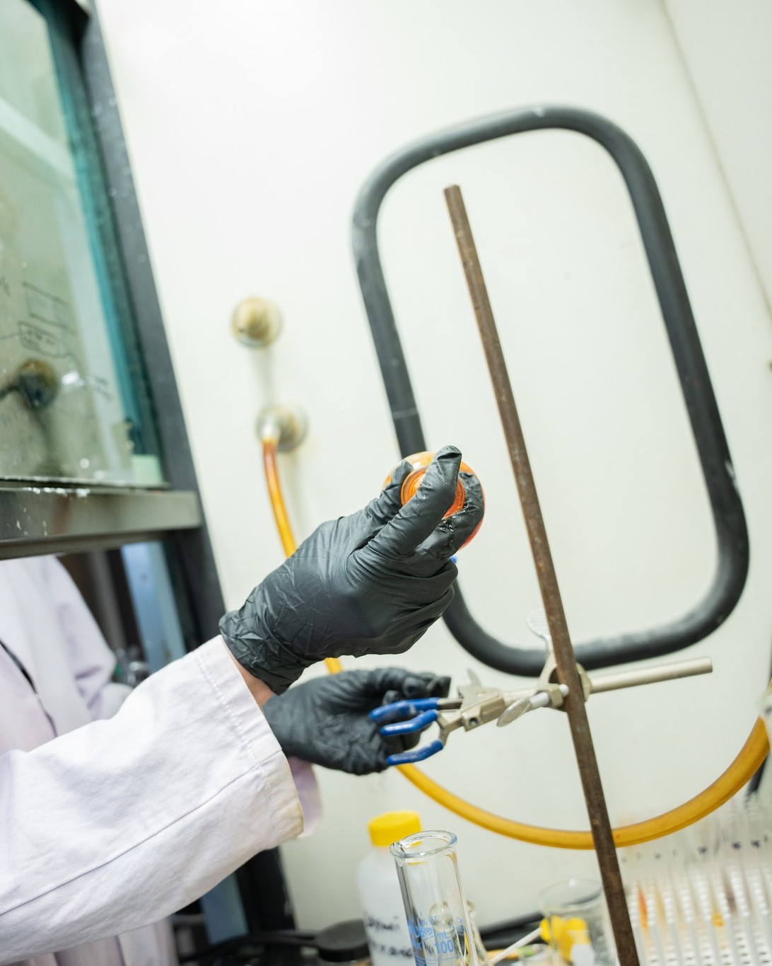 University - 🧬 New research from Vandal scientists! Graduate and ...