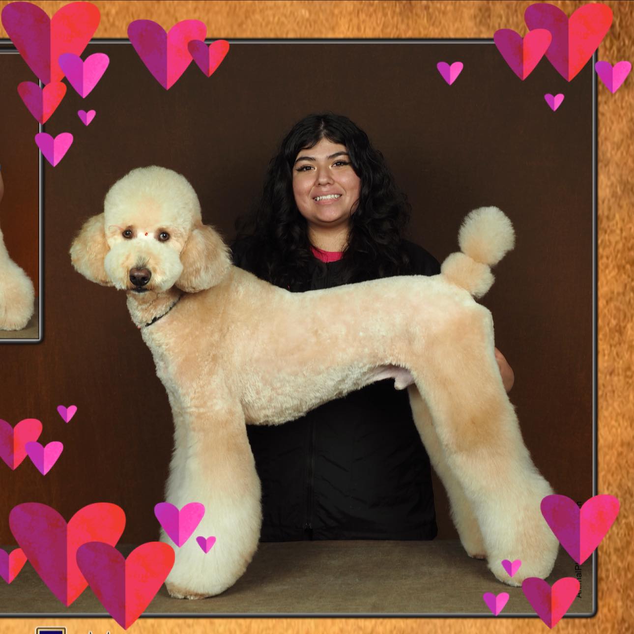 Jennifer Reyna - So happy I’ve been getting to do some fun... | Facebook