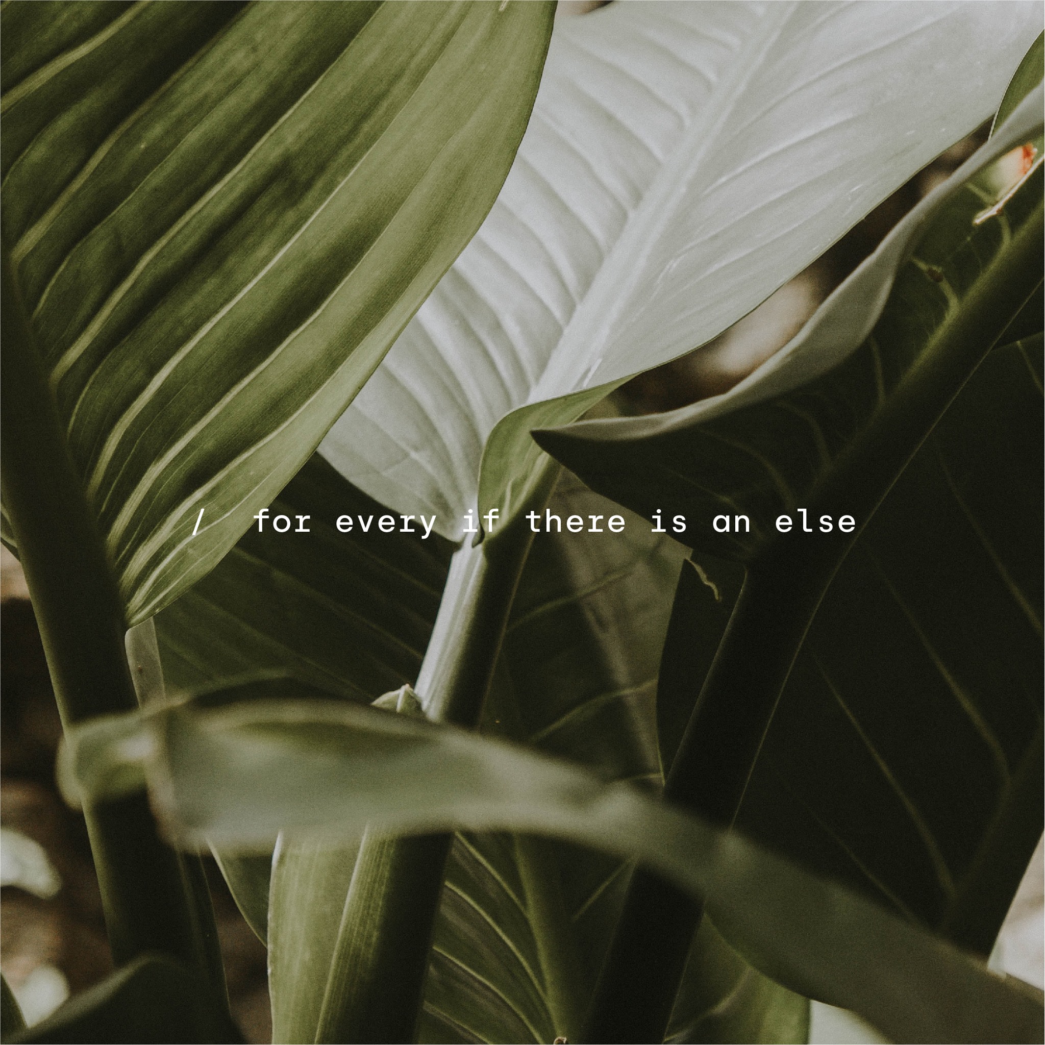 Else Lab | Cairo