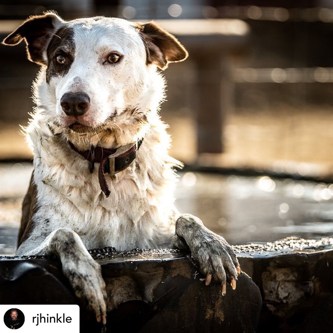 Mendota Ranch