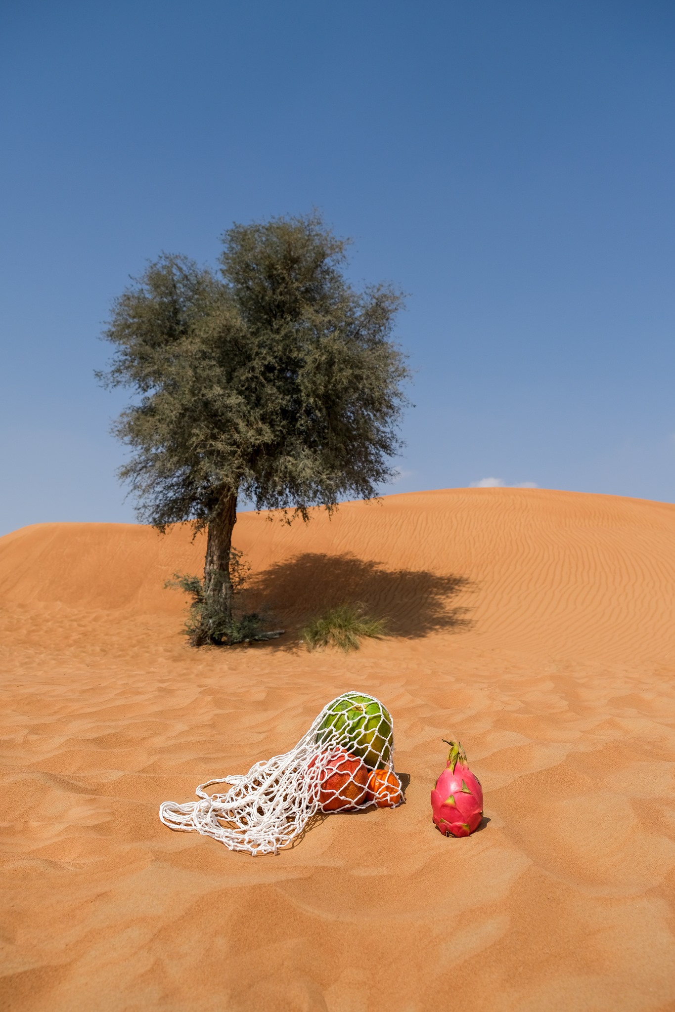 The Waste Lab | Dubai